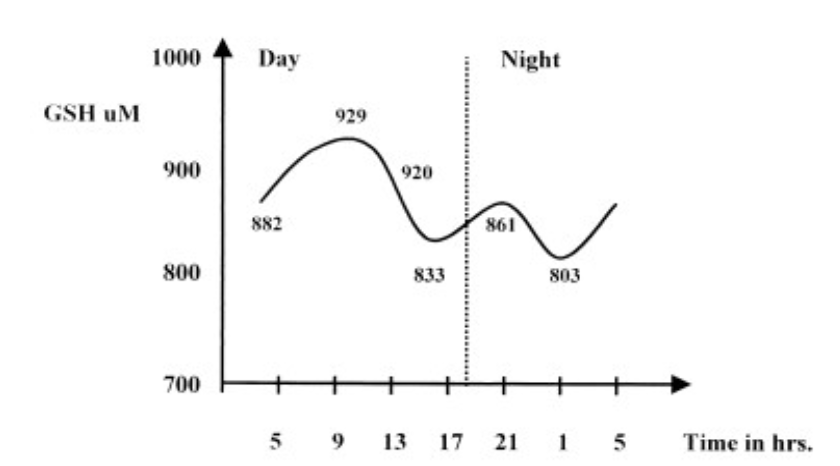 <p><span>A trend toward increasing GSH concentration at 9:00 AM and decreasing</span><br><span>concentration at 1:00 AM</span></p>