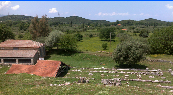 term image