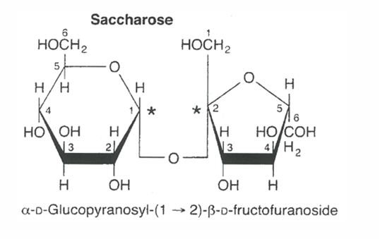 <p>Disaccharide (glucose + fructose) </p><p>sucre de table (café, thé), <span style="font-family: Calibri, "sans-serif"; line-height: 115%;">Les deux unités sont reliées par une <strong>liaison α(1→2) glycosidique</strong>, impliquant les <strong>groupements réducteurs des deux sucres</strong>, ce qui fait du saccharose un <strong>sucre non réducteur</strong></span></p>