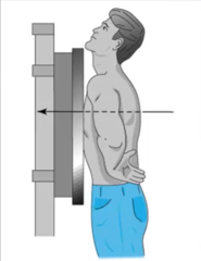 <p>refers to a projection of the CR from posterior to anterior; the CR enters at the posterior surface and exits the anterior surface</p>