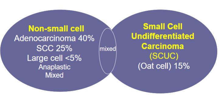 <p>Non-small cell</p>
