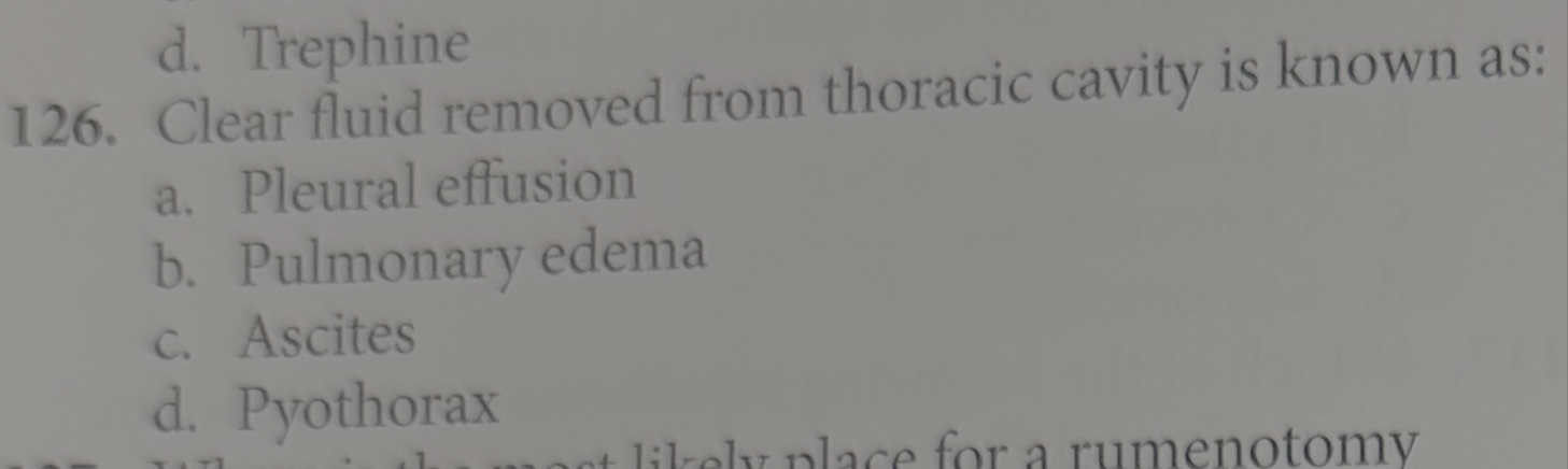 term image