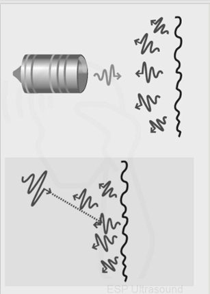<p>Diffuse Reflection (Back Scatter) </p>