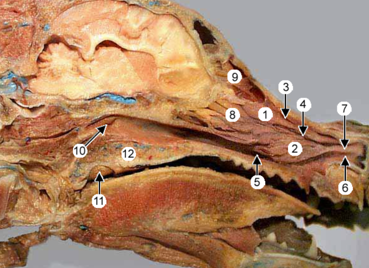 <p>4?</p>