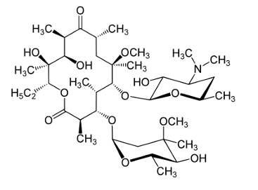 <p>[MACROLIDES]</p><p>a. Erythromycin (Ilotycin)</p><p>b. Clarithromycin</p><p>c. Azithromycin</p><p>d. Roxithromycin</p>
