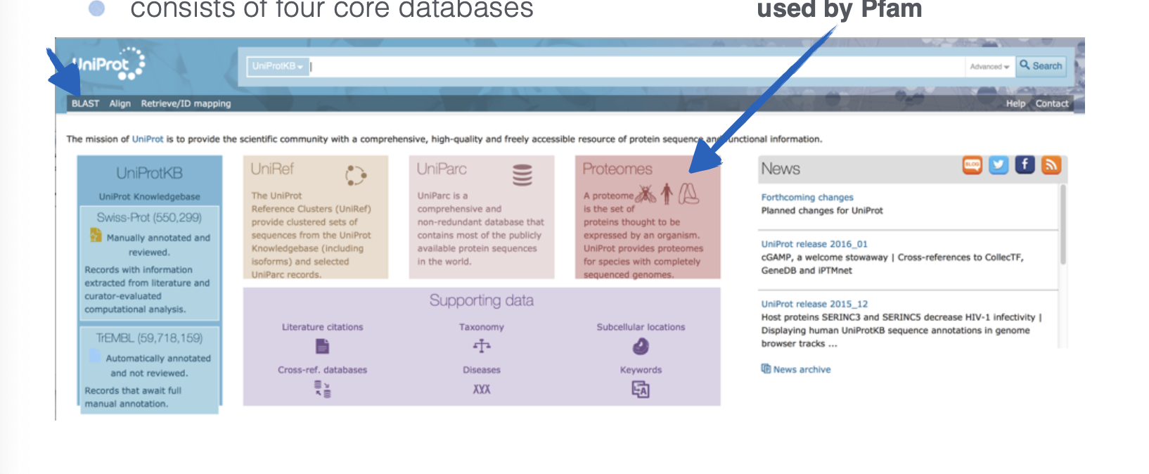 <p>What website is this?</p>