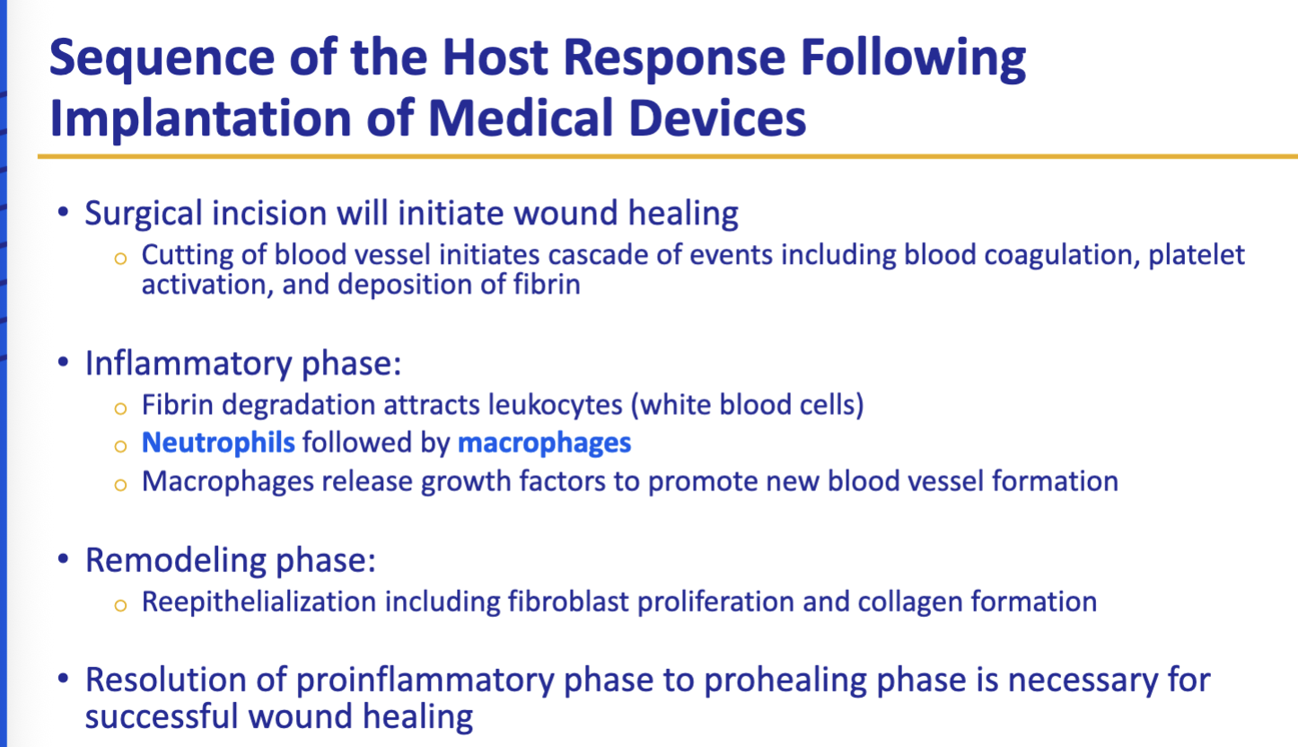 <p>sequence of host response following implantation</p>