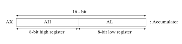 <ul><li><p>used in input/output and most arithmetic instructions.</p></li><li><p>Note:</p><ul><li><p>16 bits : AX BX CX DX</p></li><li><p>8 bits : AH AL BH BL CH CL DH DL</p></li><li><p>The "H" and "L" suffix on the 8-bit registers stand for high byte and low byte</p></li></ul></li></ul><p></p>