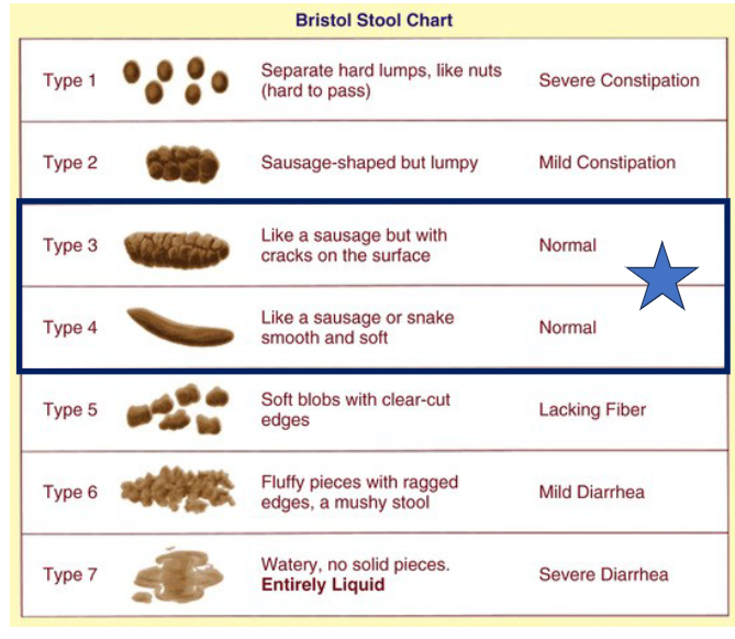 <p>ask everyone bowel pattern describe</p>