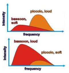 <p>What are psychophysical masking experiments?</p>