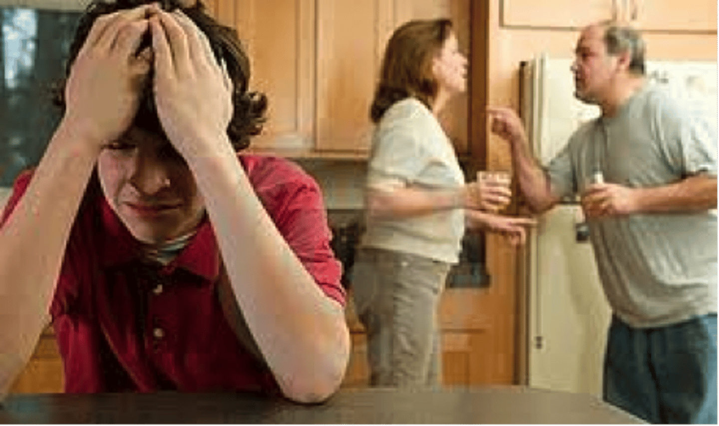 <p>The theory that prejudice offers an outlet for anger by providing someone to blame.</p>