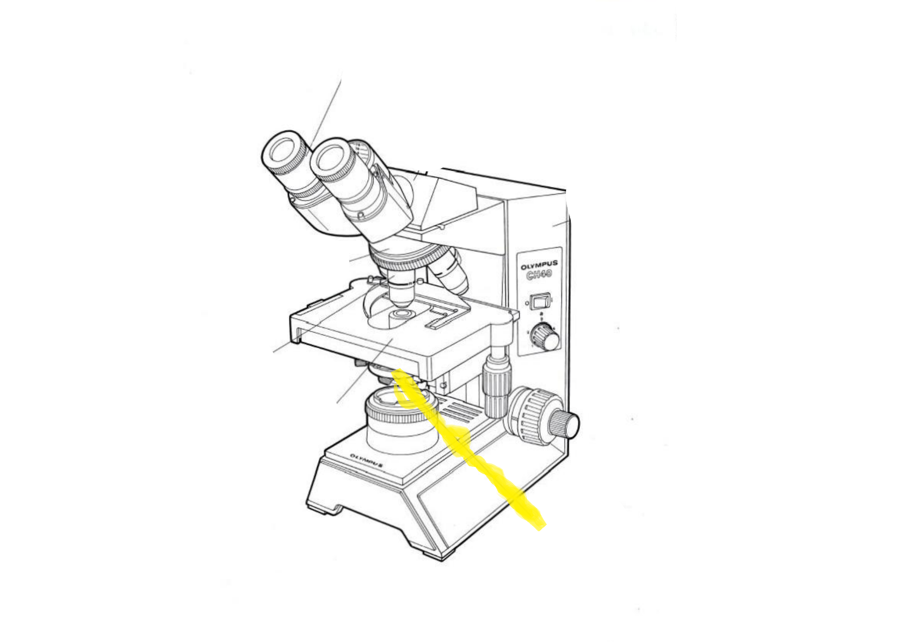 <p>Label the part of the microscope highlighted in yellow</p>