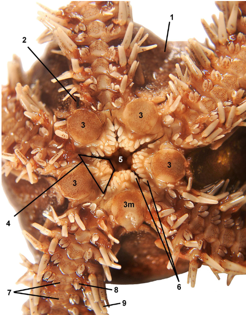 <p>class</p><p>label</p>