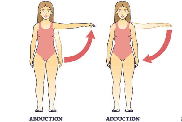 <p>Movimiento que acerca una parte del cuerpo hacia la línea media. </p>