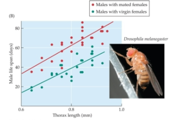<p>What is the main takeaway from the fruit fly experiment?</p>