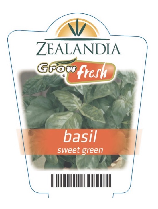 <p>Basil: Sweet green</p>