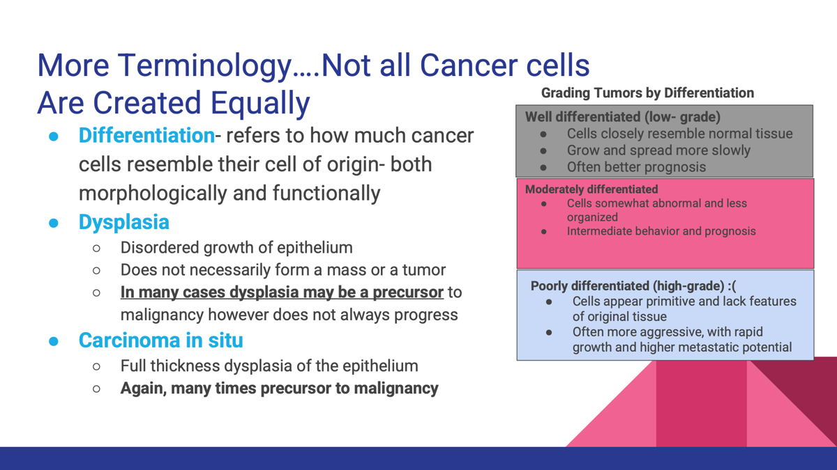 <p>Differentiation- Well-differentiated refers to tumor cells that closely resemble normal cells, while poorly differentiated indicates significant deviation from original cell types. </p>