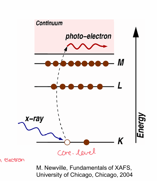 <ul><li><p>μ comes from the photoelectric absorptions </p></li><li><p>x-rays with energy 1-200 keV are all absorbed by matter through photoelectric effect </p></li><li><p>upon absorption of x-rays with certain energies, core-level electrons - K, L or M shells - from an atom are ejected </p></li><li><p>Ejected electrons = photoelectrons </p></li><li><p>The atom becomes excited and left with a core hole/absence of an electron </p></li></ul><p></p>