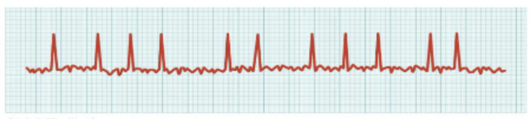 <p>What is this?</p>