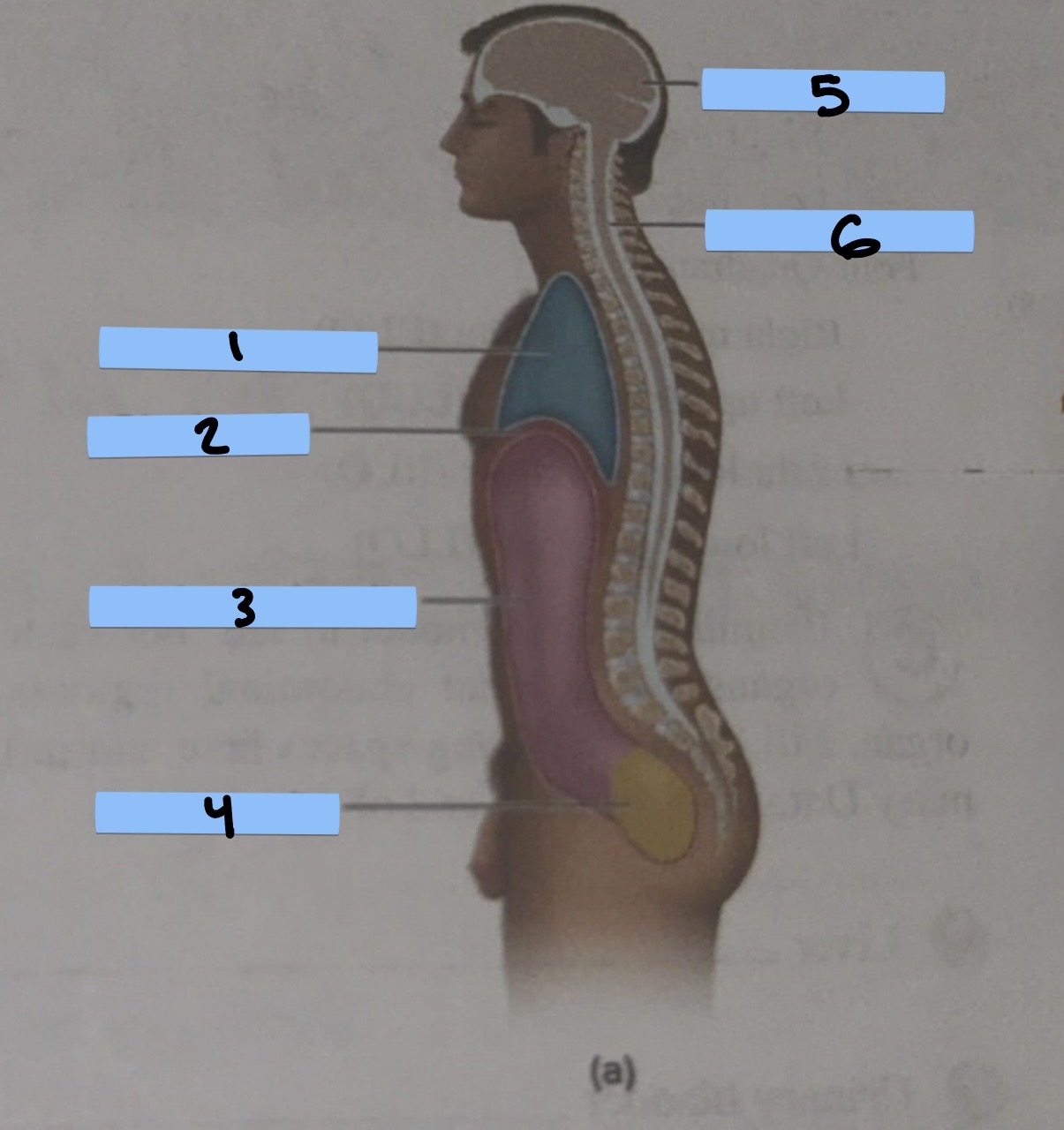 <p>1</p>
