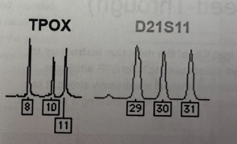 <p>Identify 3-peak patterns</p>