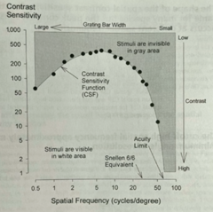 <p>What is the x-axis of a human contrast sensitivity function?</p>