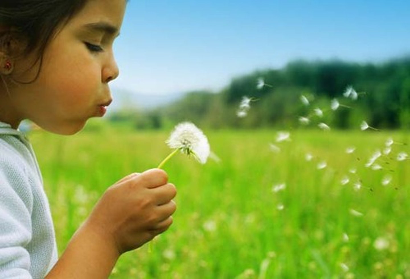 <p>to wish</p>