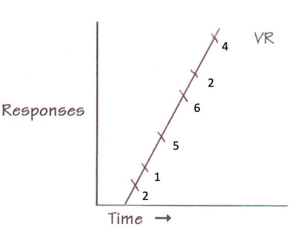 <p>Variable Ratio (VR)</p>