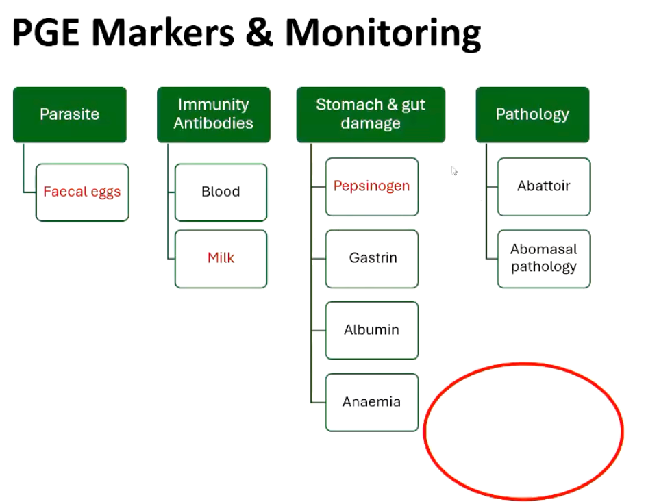 <p>FEC + Pepsinogen + Performance are main tools</p>