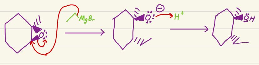 <p>Can do Sn2 and E2 based on conditions. Add carbon chain to molecule, and can do epoxide opening (a b steps)</p>