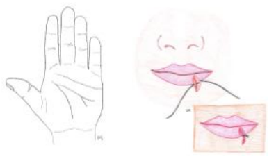 <ul><li><p>Natural creases, Vermilion border, eyebrows </p><ul><li><p>never shave eyebrows</p></li></ul></li></ul><p></p>