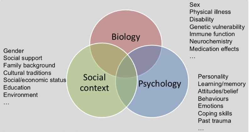 <p>Health is not just caused by biology but an intersection of biology, psychology and social context. </p>