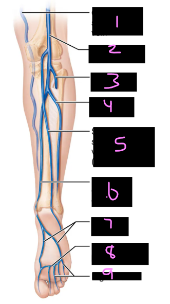 <p>6,7,8,9</p>