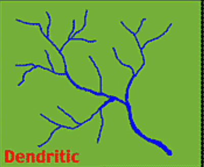 <p>dendritic</p>