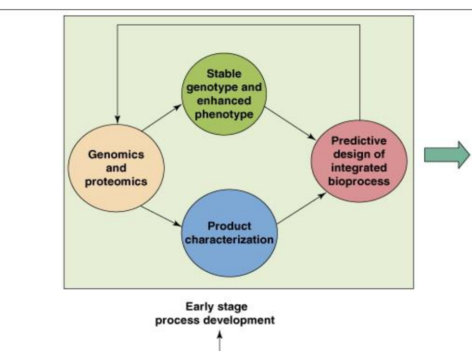 <p>Early Stage of genomic and proteomic tools in process development: Data Integration and System Design step 2</p>