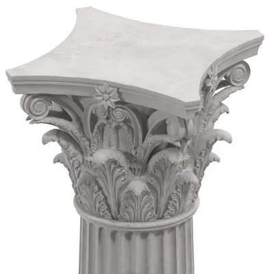 <p>what order</p>