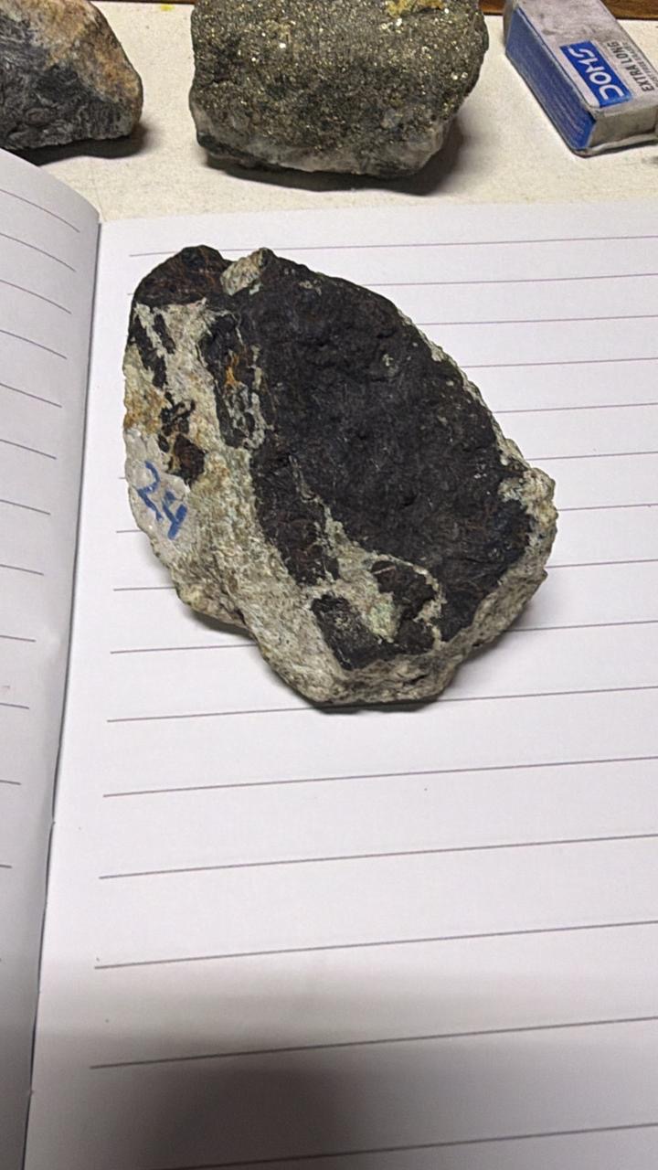 <p>Covelina</p>