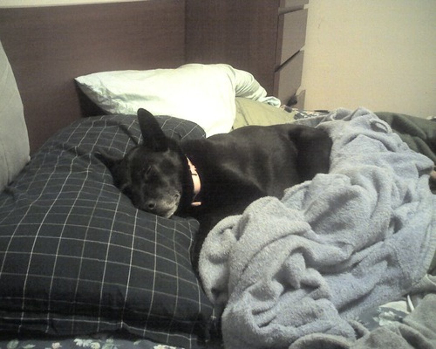 <p>To go to bed (u-ue)</p>