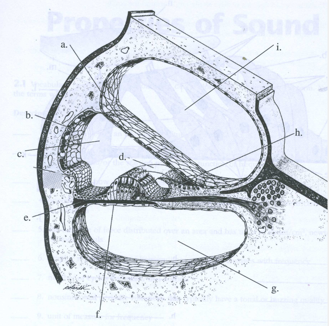 <p>Label (a, c, d, e, f, g, i)</p>