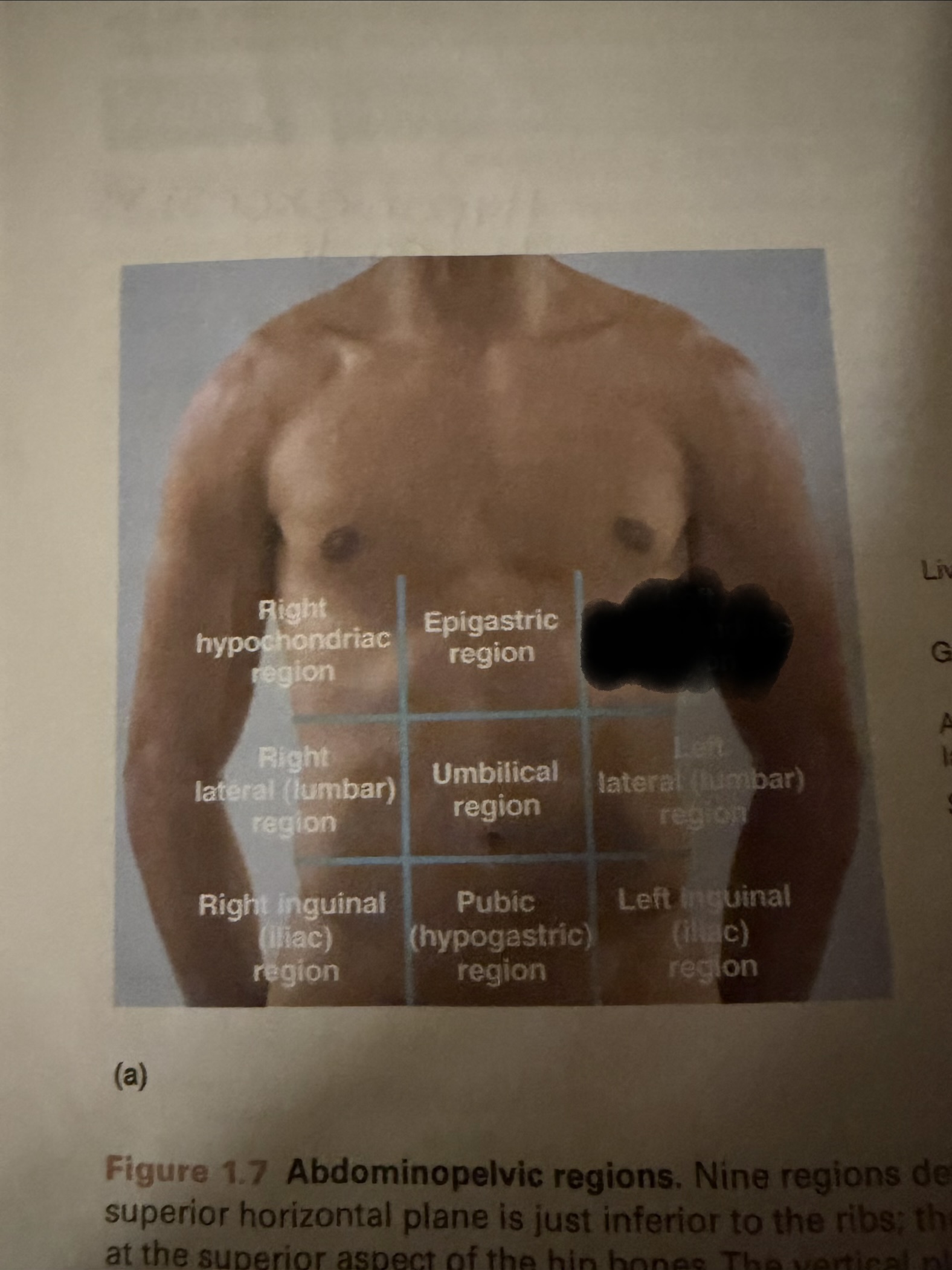 <p>what region is this?</p>