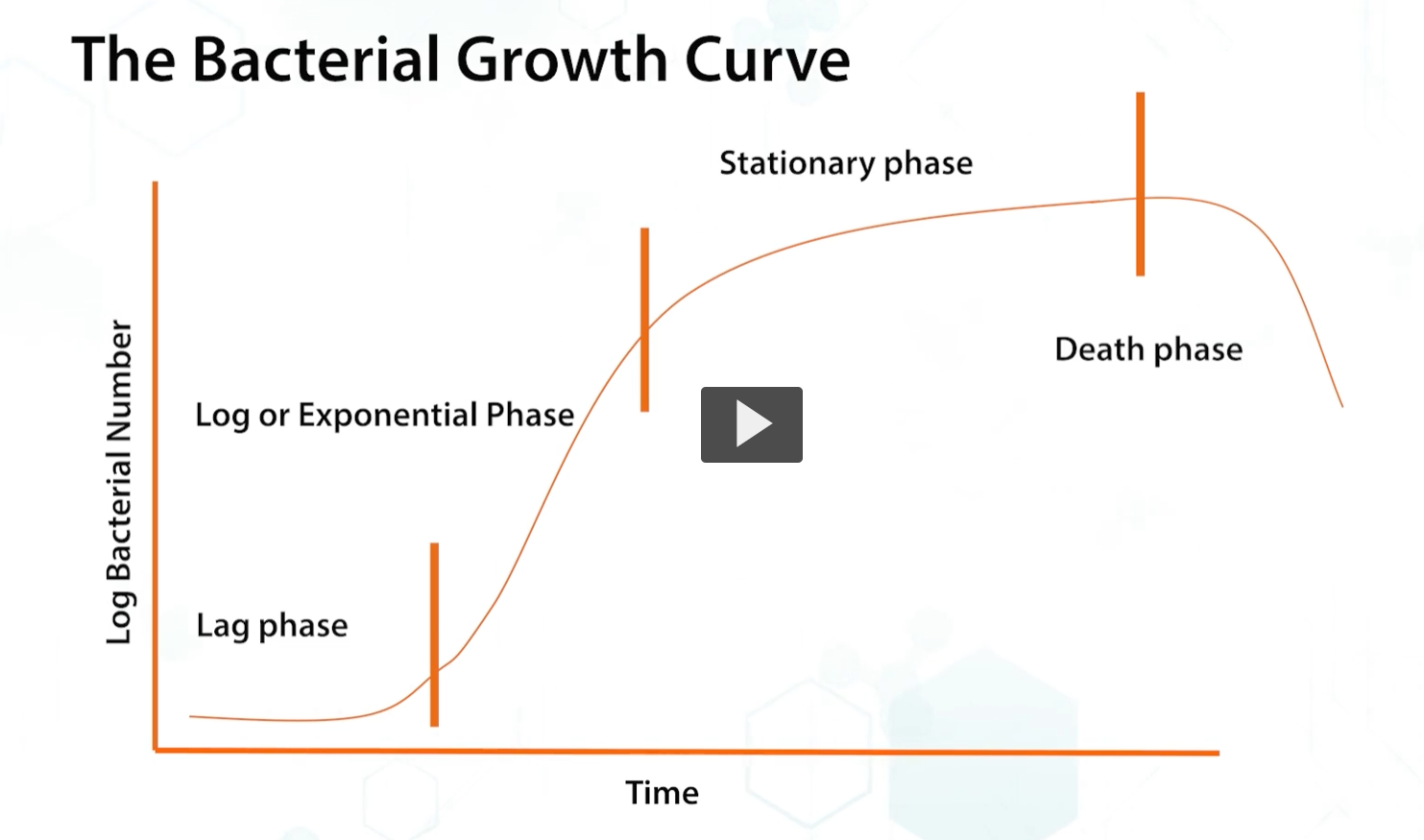 <p>This diagram shows the <strong>bacterial growth curve </strong></p><ol><li><p>lag phase: bacteria senses the environment and determines the available nutrients for metabolism, adjusting the gene expression accordingly. </p></li><li><p>the lag phase is followed by the <strong>logarithmic </strong>or <strong>exponential phase</strong> where bacteria grow <strong>rapidly</strong> until they reach the…</p></li><li><p>stationary phase: this phase is determined by the <strong>remaining nutrients</strong> and pH and metabolites in the medium. </p></li><li><p>Death phase: finally, bacteria enter the death phase, where the bacteria begin to <strong>die</strong>. </p></li></ol><p></p>