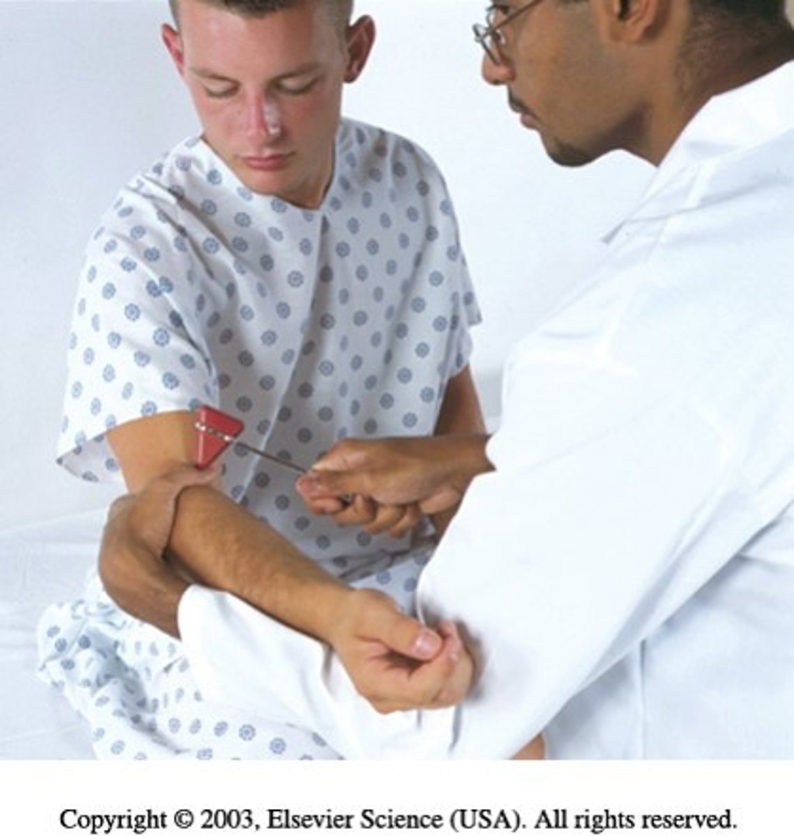 <p>support pt.'s forearm on yours, place your thumb on biceps tendon and strike blow on your thumb</p><p>normally bicep contracts, forearm flexes</p>