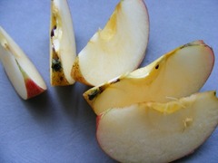 <p>Enzymatic Browning (oxidation)</p>
