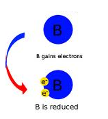 <p>loss of electrons</p>