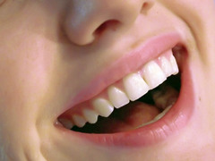 <p>teeth</p>