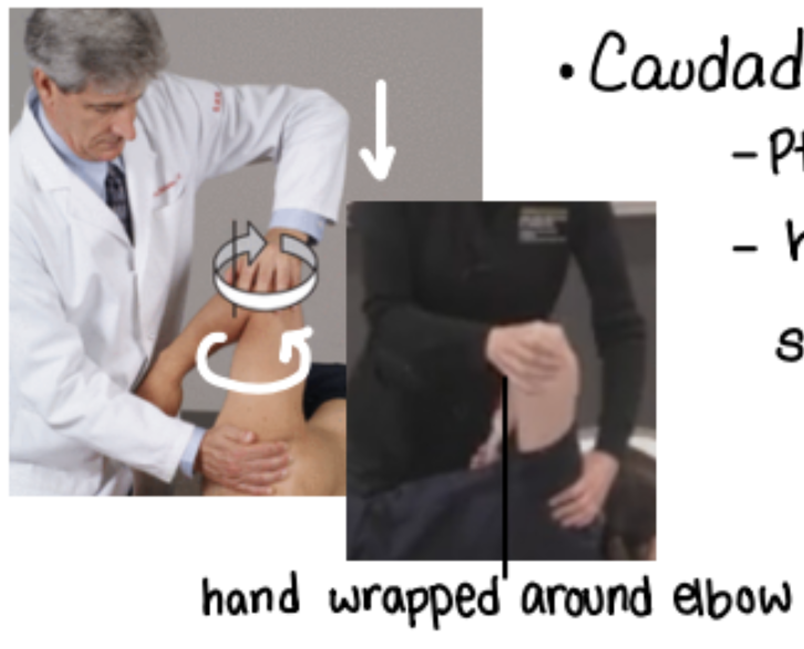<ol><li><p>patient on lateral recumbent (on their side)</p></li><li><p>abduct patient’s shoulder to 90</p></li><li><p>cephalad hand holds shoulder</p></li><li><p>caudad hand on elbow, applying downward pressure, circumducting</p></li></ol><p></p>