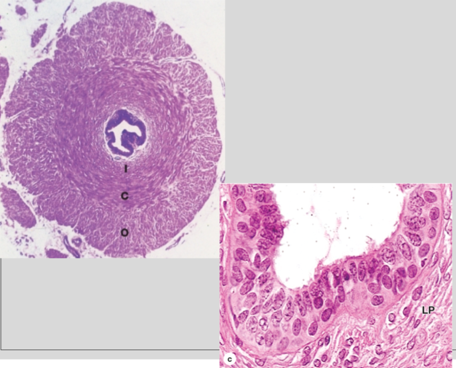 <p>What is this?</p>