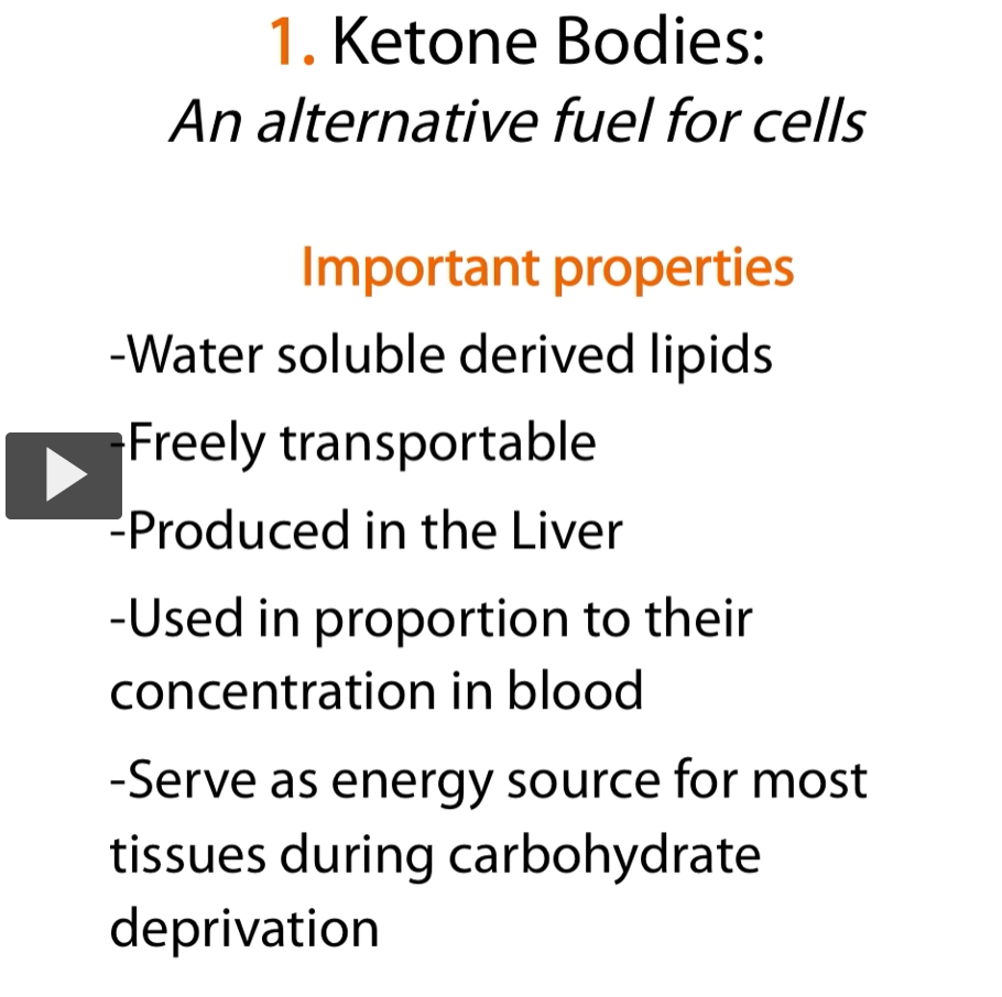 <p><strong>Ketone bodies</strong> have <strong>several properties </strong>that make them a <strong>perfect ideal alternative fuel</strong> for the <strong>cells</strong> when <strong>there is no glucose available</strong> (during <strong>fasting</strong> metabolic states).</p><p><u>Important Properties</u></p><ol><li><p>water soluble</p></li><li><p>freely transported in blood</p></li><li><p>produced by the liver</p></li><li><p>used in the proportion of the concentration they have in the blood</p></li><li><p>Ketone bodies serve as energy sources for most tissues during <strong>carbohydrate deprivation</strong></p></li></ol><p></p>