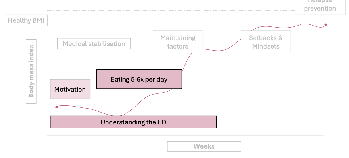 <ul><li><p>Keep motivation </p></li><li><p>Understanding the ED</p></li><li><p>Eating 5-6x per day </p></li></ul><p></p>