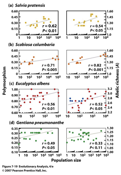 <p>Examples of Drift in Natural Populations- Young and colleagues (1996)</p>
